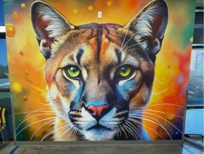 B. Custom Wallpaper Solutions & Custom Vinyl Graphics Photo